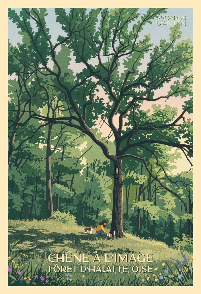 Affiche Forêt d'Halatte, le chêne de Regards d'Antan : grand chêne isolé en lisière de la forêt d'Halatte, illustration au style rétro